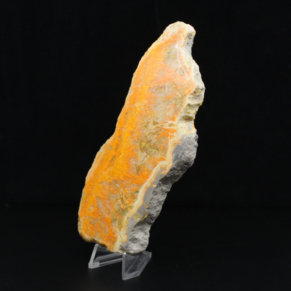 Polished slice of Indonesian Bumblebee Jasper