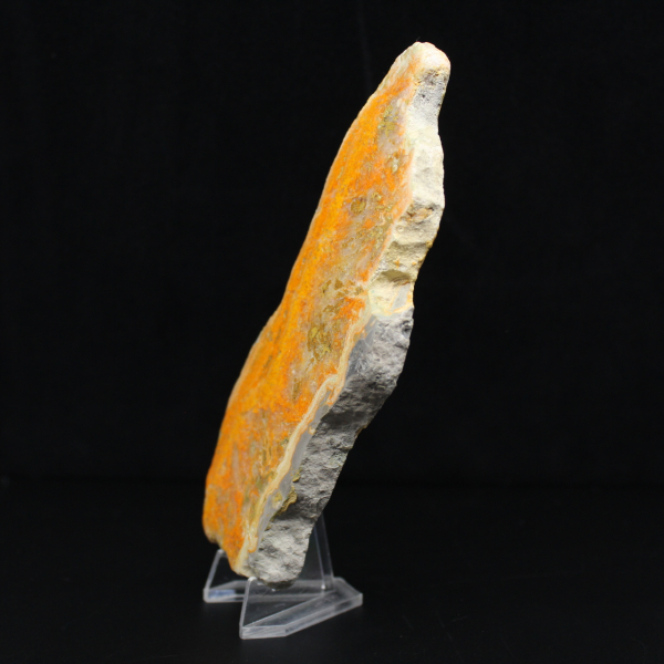 Polished slice of Indonesian Bumblebee Jasper