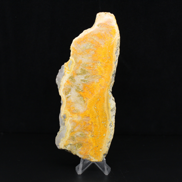 Polished slice of Indonesian Bumblebee Jasper