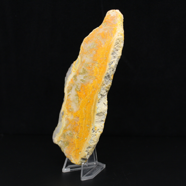 Polished slice of Indonesian Bumblebee Jasper