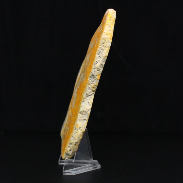 Polished slice of Indonesian Bumblebee Jasper