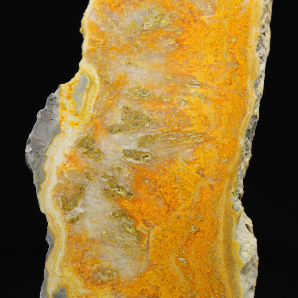 Polished slice of Indonesian Bumblebee Jasper