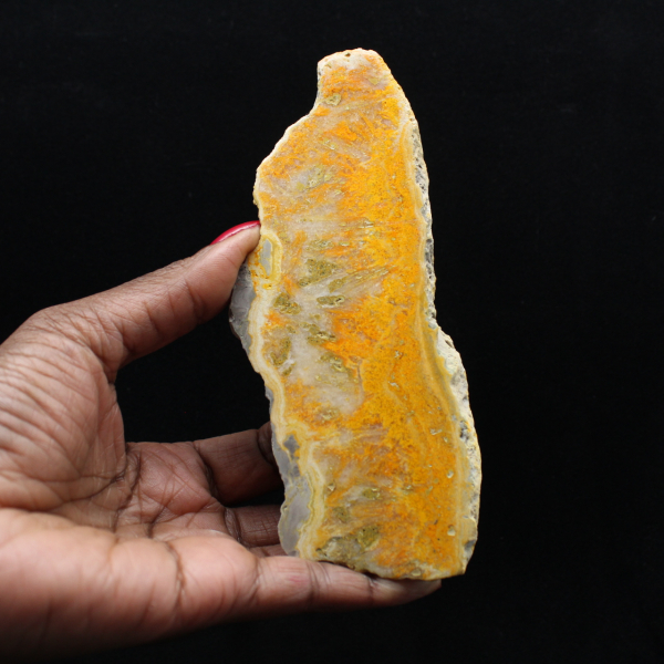 Polished slice of Indonesian Bumblebee Jasper