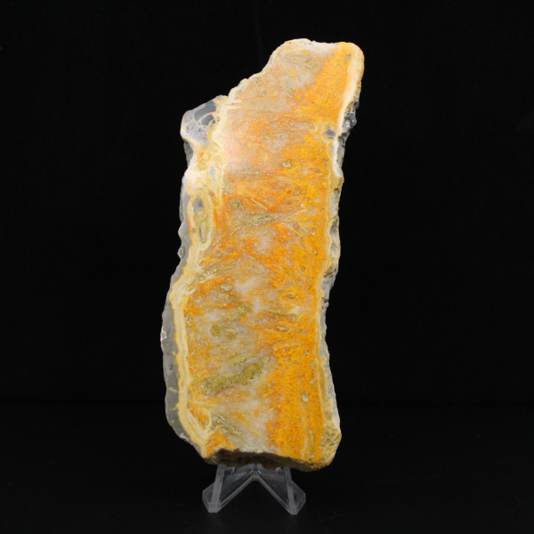 Thick slice of Indonesian Bumblebee Jasper