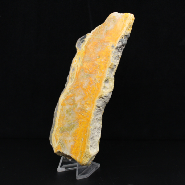 Thick slice of Indonesian Bumblebee Jasper