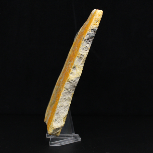 Thick slice of Indonesian Bumblebee Jasper