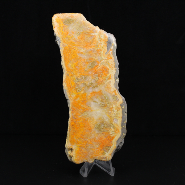 Thick slice of Indonesian Bumblebee Jasper