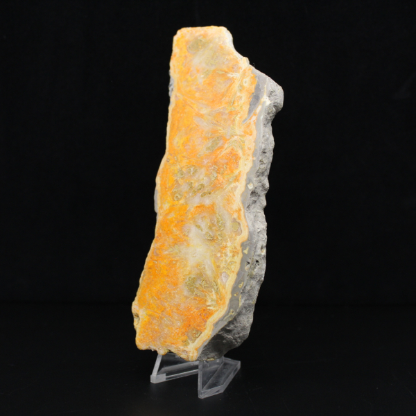 Thick slice of Indonesian Bumblebee Jasper