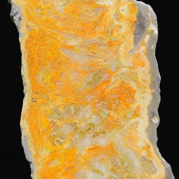 Thick slice of Indonesian Bumblebee Jasper