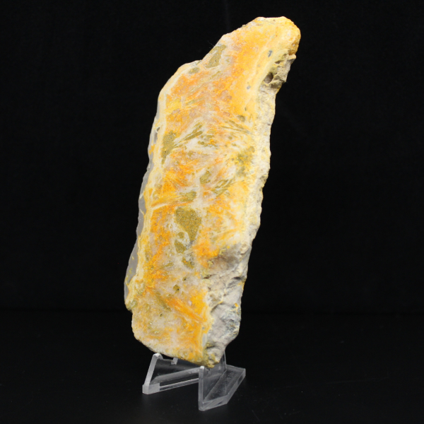 Polished volcanic Bumblebee Jasper specimen