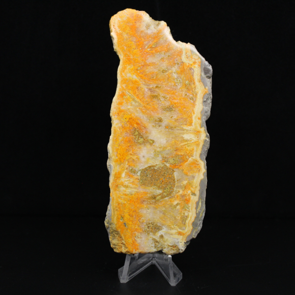 Polished volcanic Bumblebee Jasper specimen