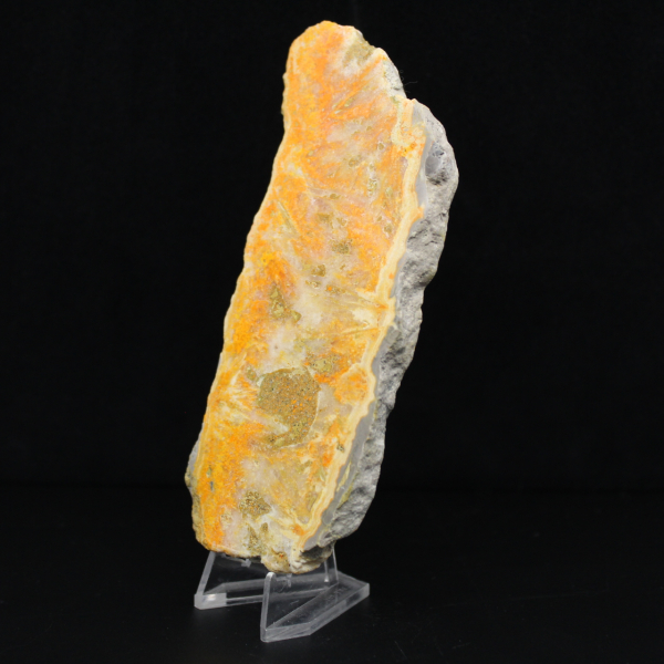 Polished volcanic Bumblebee Jasper specimen