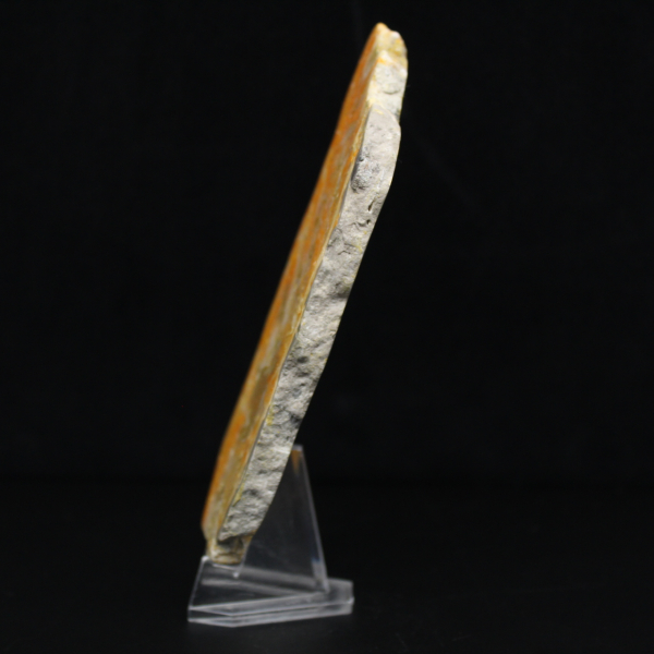 Polished volcanic Bumblebee Jasper specimen