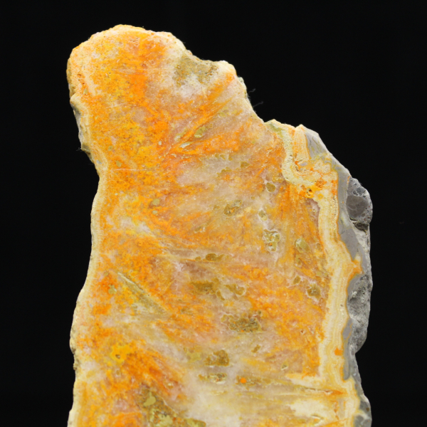 Polished volcanic Bumblebee Jasper specimen