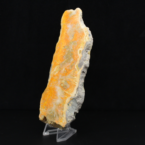 Bumblebee Jasper Slice - Collector's Quality