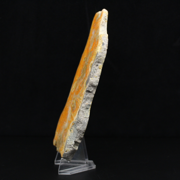 Bumblebee Jasper Slice - Collector's Quality