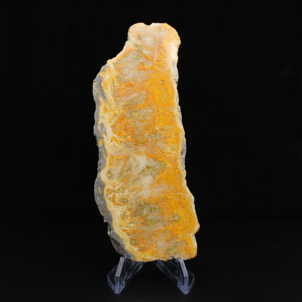 Bumblebee Jasper Slice - Collector's Quality