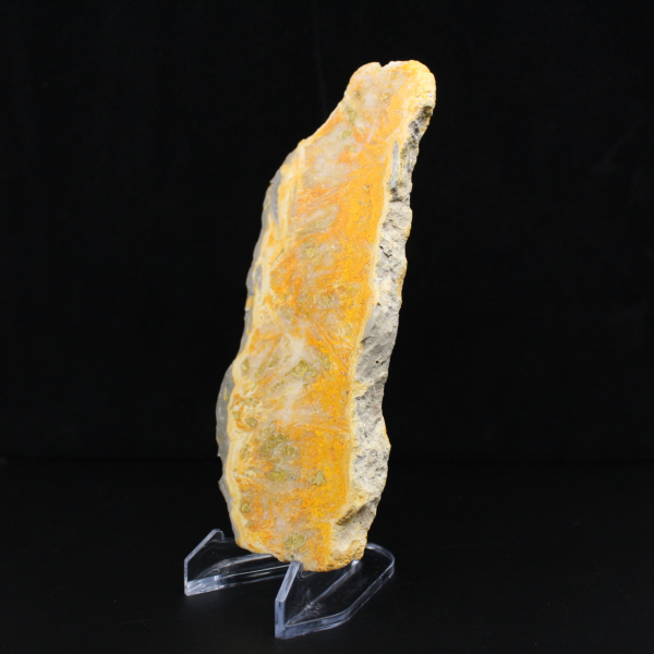 Bumblebee Jasper Slice - Collector's Quality