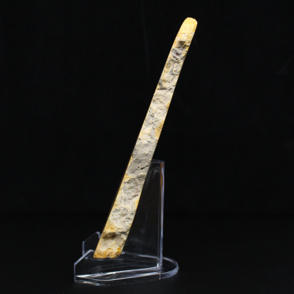 Bumblebee Jasper Slice - Collector's Quality