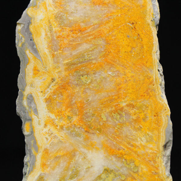 Bumblebee Jasper Slice - Collector's Quality