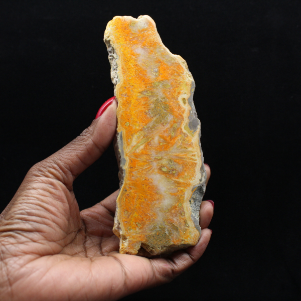 Bumblebee Jasper Slice - Collector's Quality