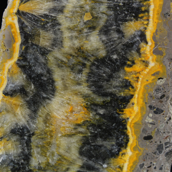 Polished Bumblebee Jasper Thin Plate
