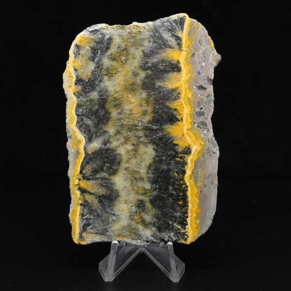 Small sliced specimen of Jasper Bumblebee