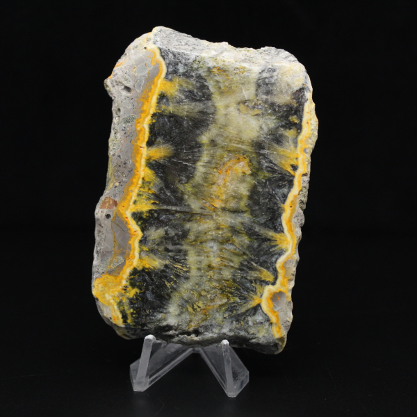 Small sliced specimen of Jasper Bumblebee