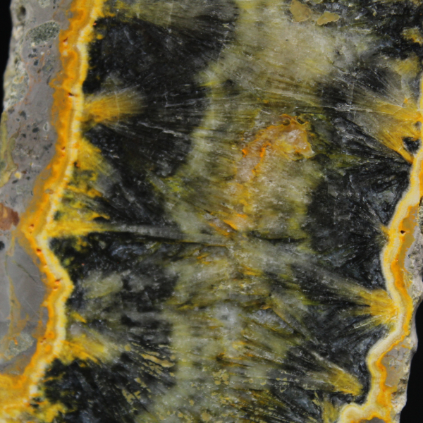 Small sliced specimen of Jasper Bumblebee