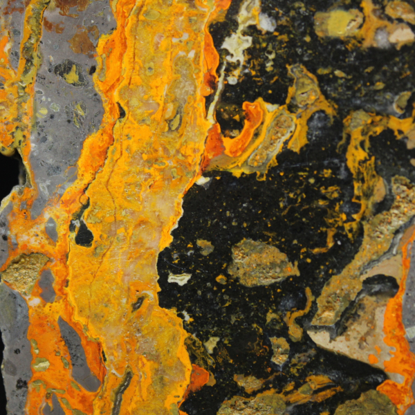 Polished Bumblebee Jasper Elongated Slice