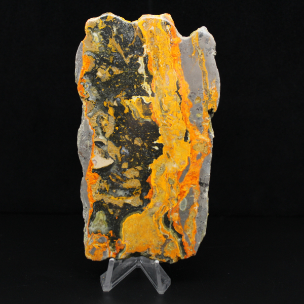 Indonesian Bumblebee Jasper: large polished slab