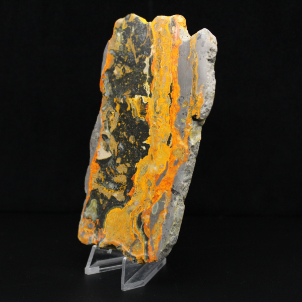 Indonesian Bumblebee Jasper: large polished slab