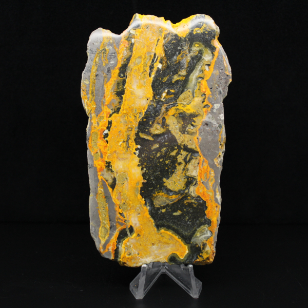Indonesian Bumblebee Jasper: large polished slab
