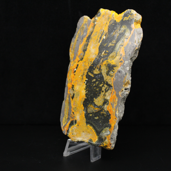 Indonesian Bumblebee Jasper: large polished slab