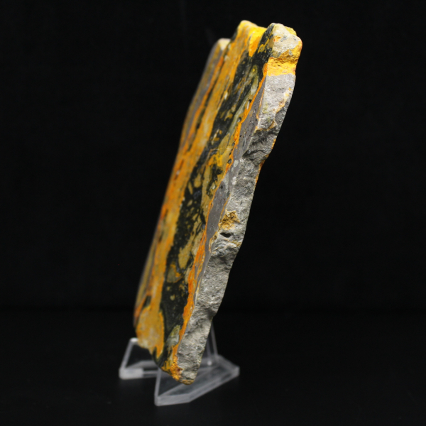 Indonesian Bumblebee Jasper: large polished slab