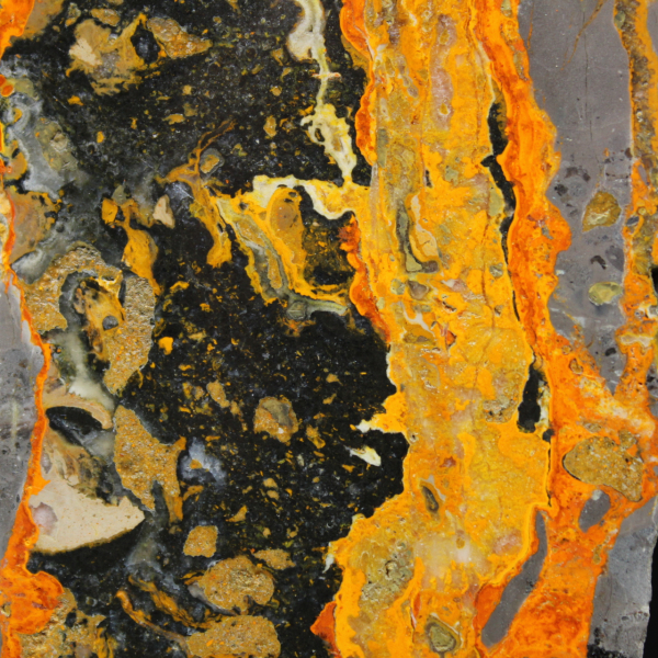 Indonesian Bumblebee Jasper: large polished slab