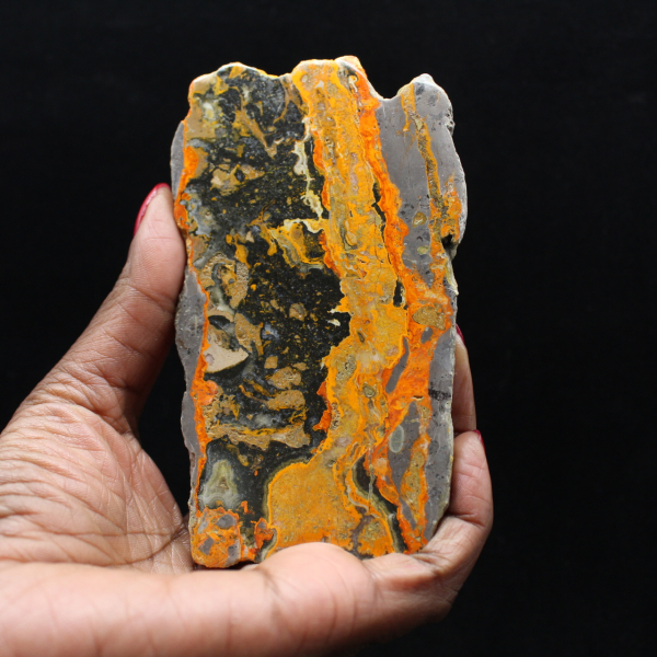 Indonesian Bumblebee Jasper: large polished slab