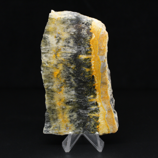 Polished compact specimen of Bumblebee Jasper