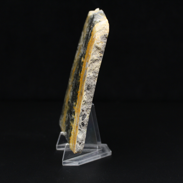 Polished compact specimen of Bumblebee Jasper