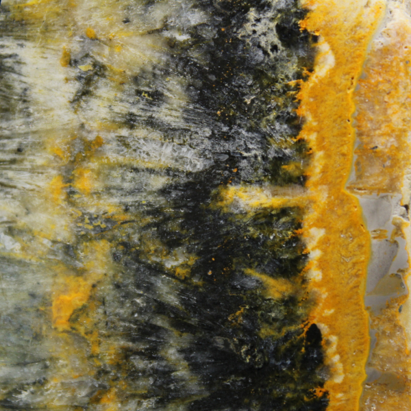 Polished compact specimen of Bumblebee Jasper