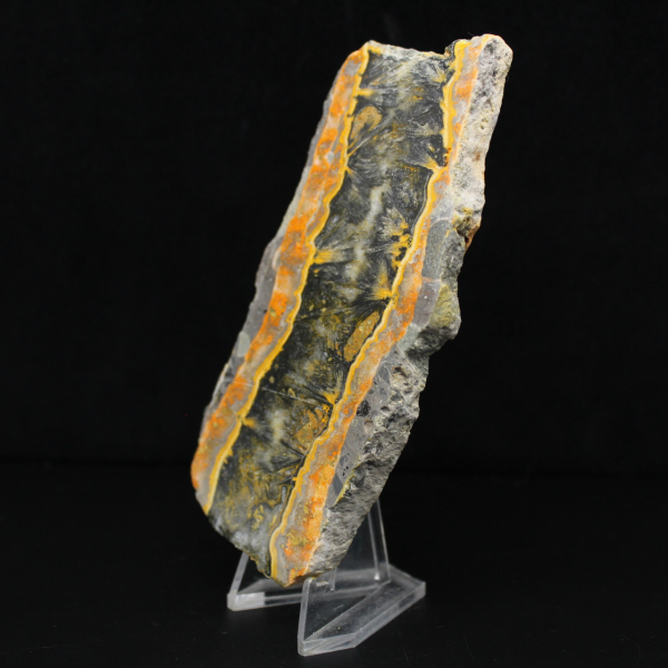 Bumblebee Jasper Slice - Sedimentary Relief