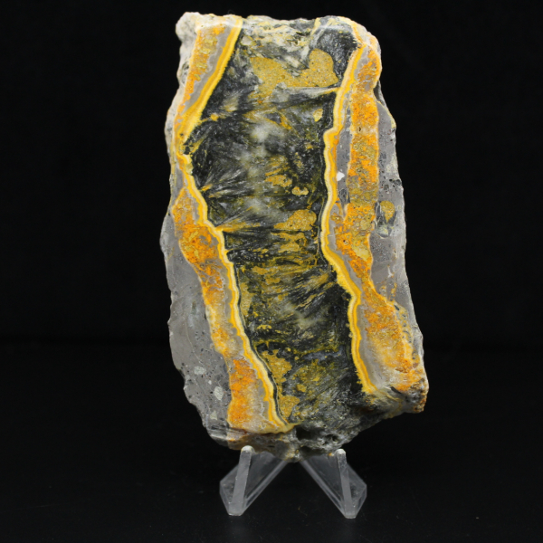 Thick slice of polished Bumblebee Jasper