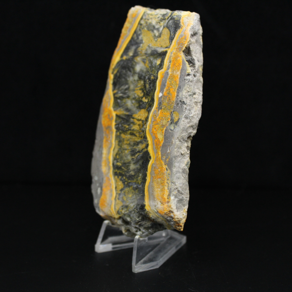 Thick slice of polished Bumblebee Jasper