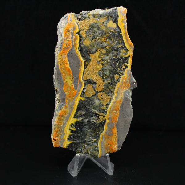 Thick slice of polished Bumblebee Jasper
