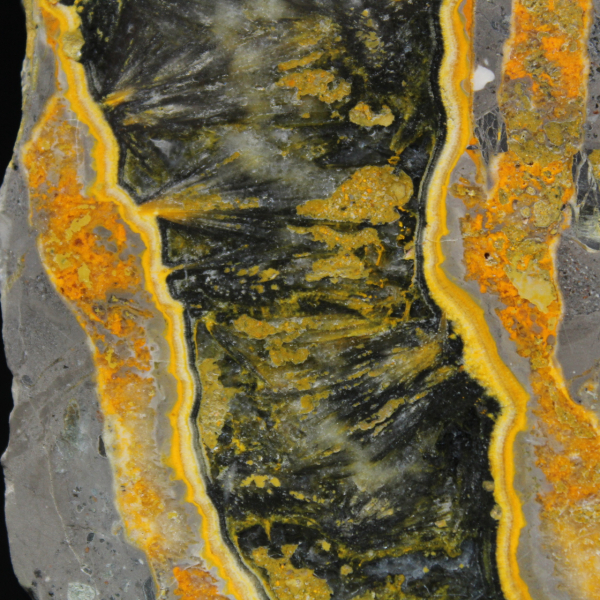 Thick slice of polished Bumblebee Jasper