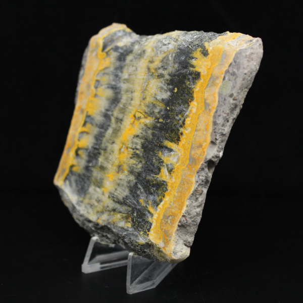 Indonesian Bumblebee Jasper: large aesthetic slab