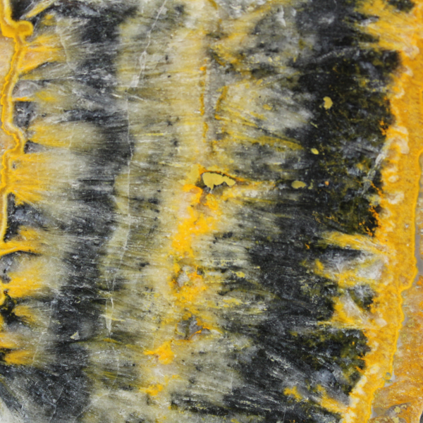 Indonesian Bumblebee Jasper: large aesthetic slab