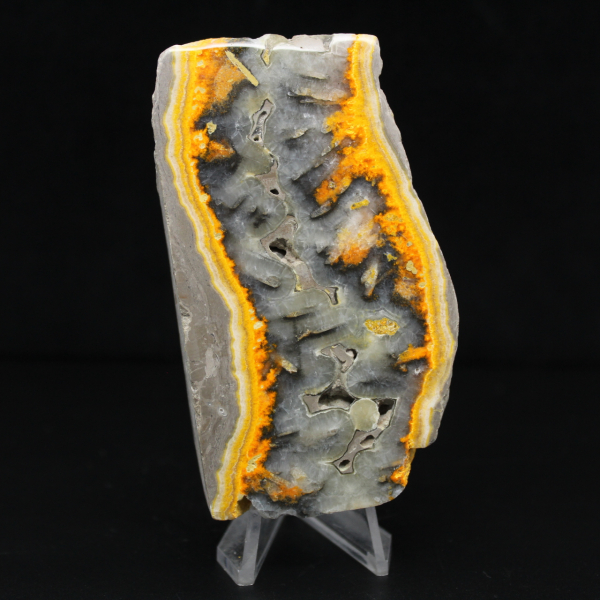 Robust slice of Indonesian Bumblebee Jasper