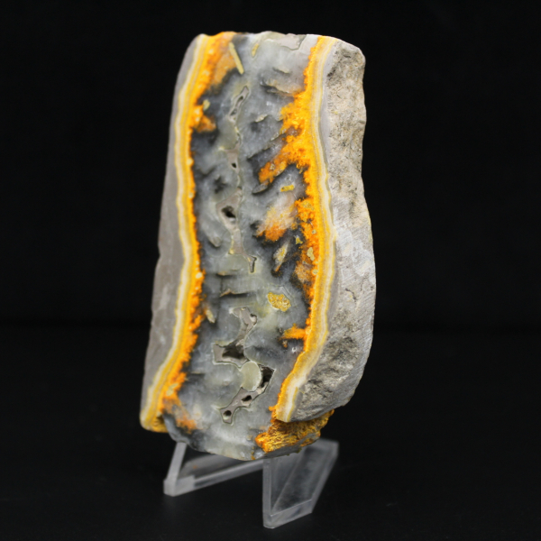 Robust slice of Indonesian Bumblebee Jasper