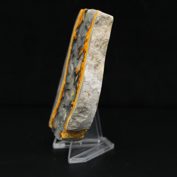 Robust slice of Indonesian Bumblebee Jasper